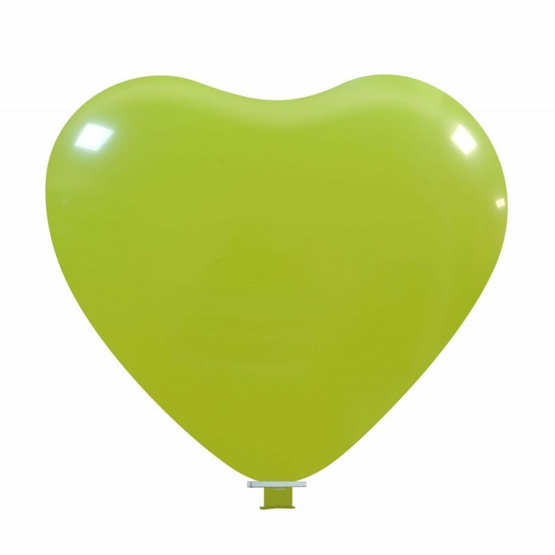 cedro