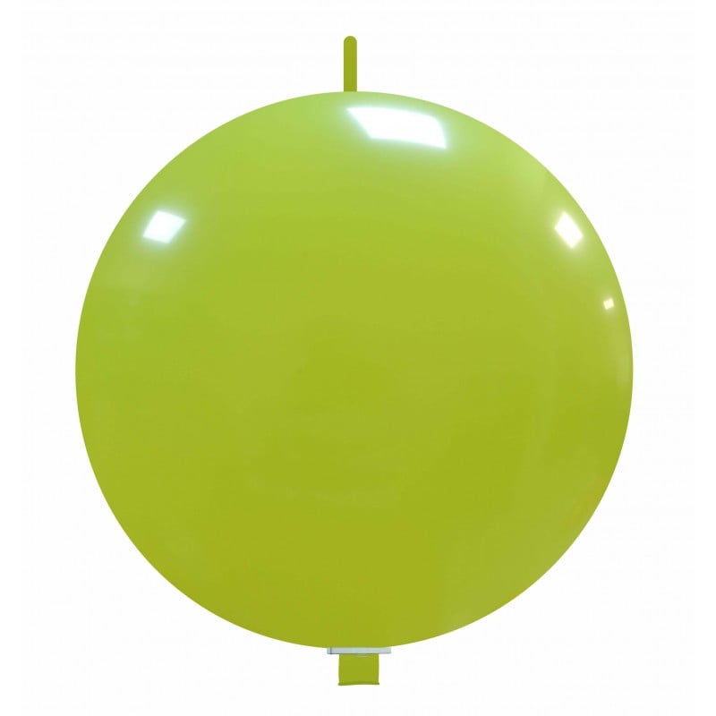 cedro