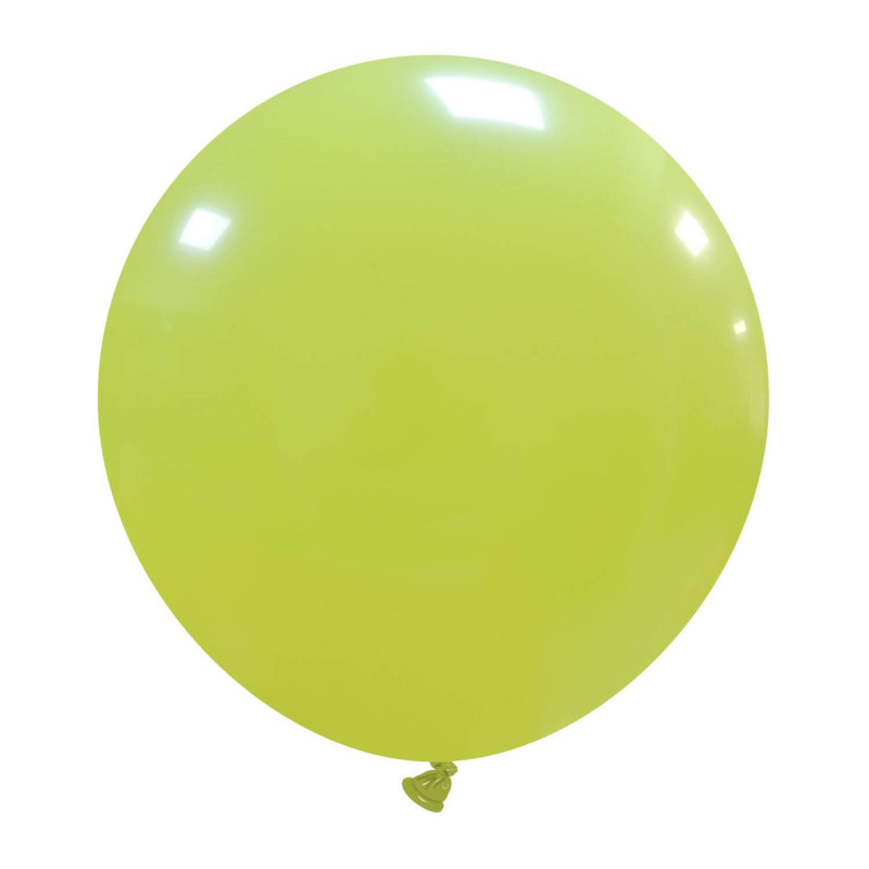 cedro