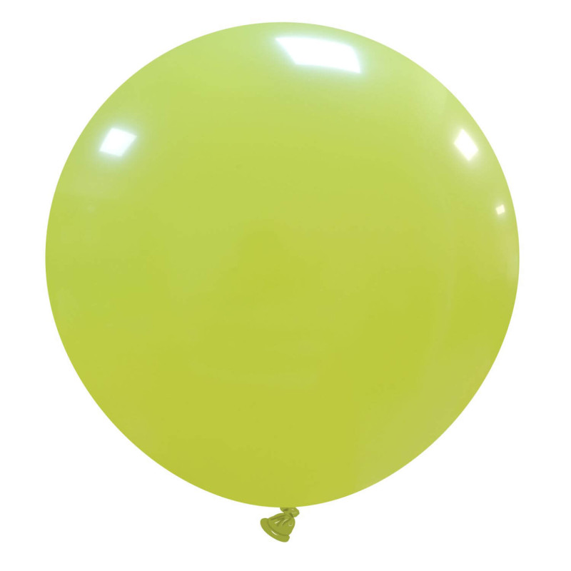 cedro