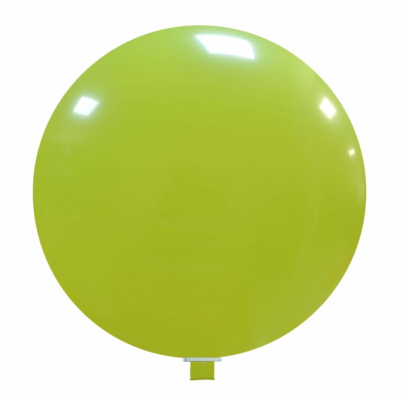 cedro