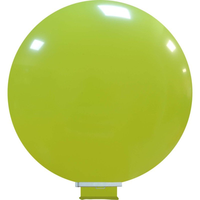 cedro