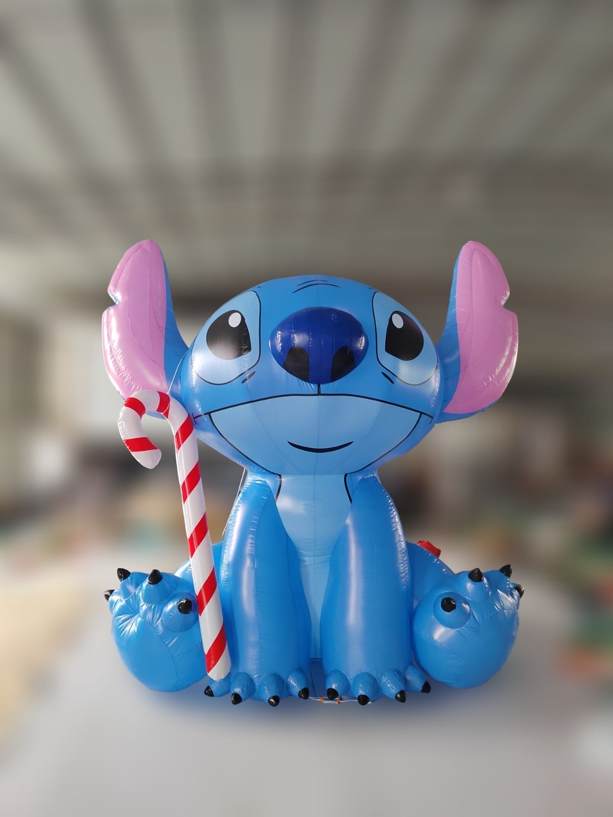 Mascotas y Toons Hinchables Personalizados